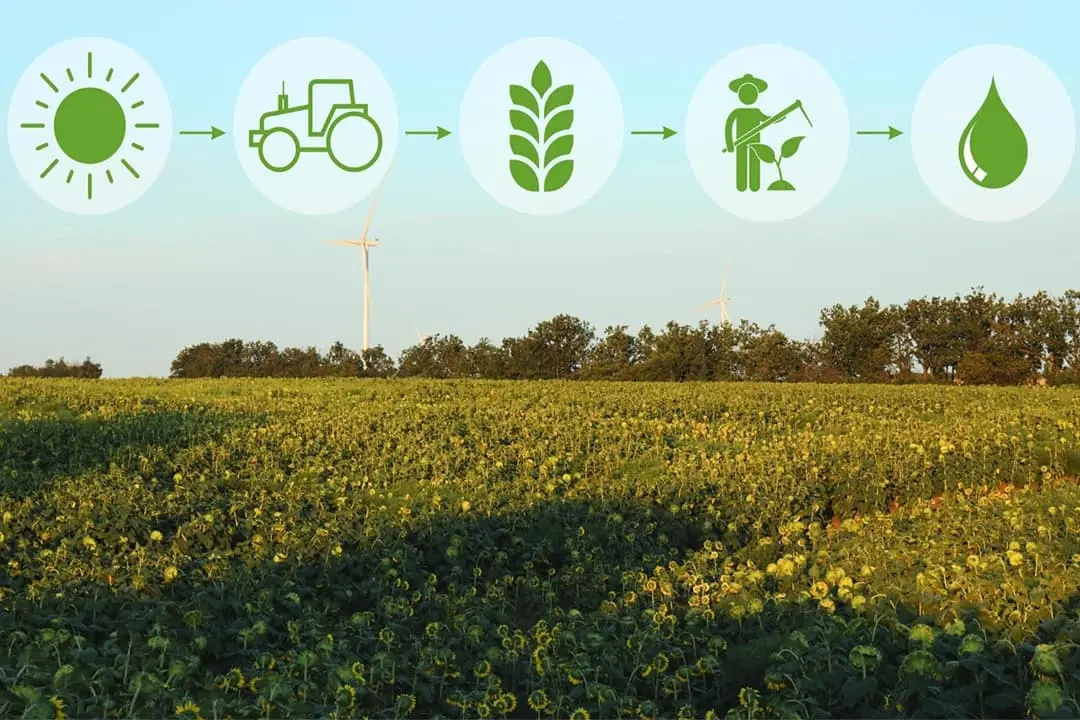 How SWT Technologies is Transforming Farming with Silo Load Cell Systems